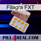Filagra FXT new13